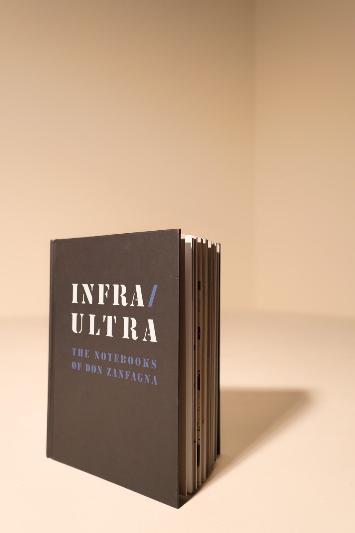 Infra/Ultra: The Notebooks of Don ZanFagna