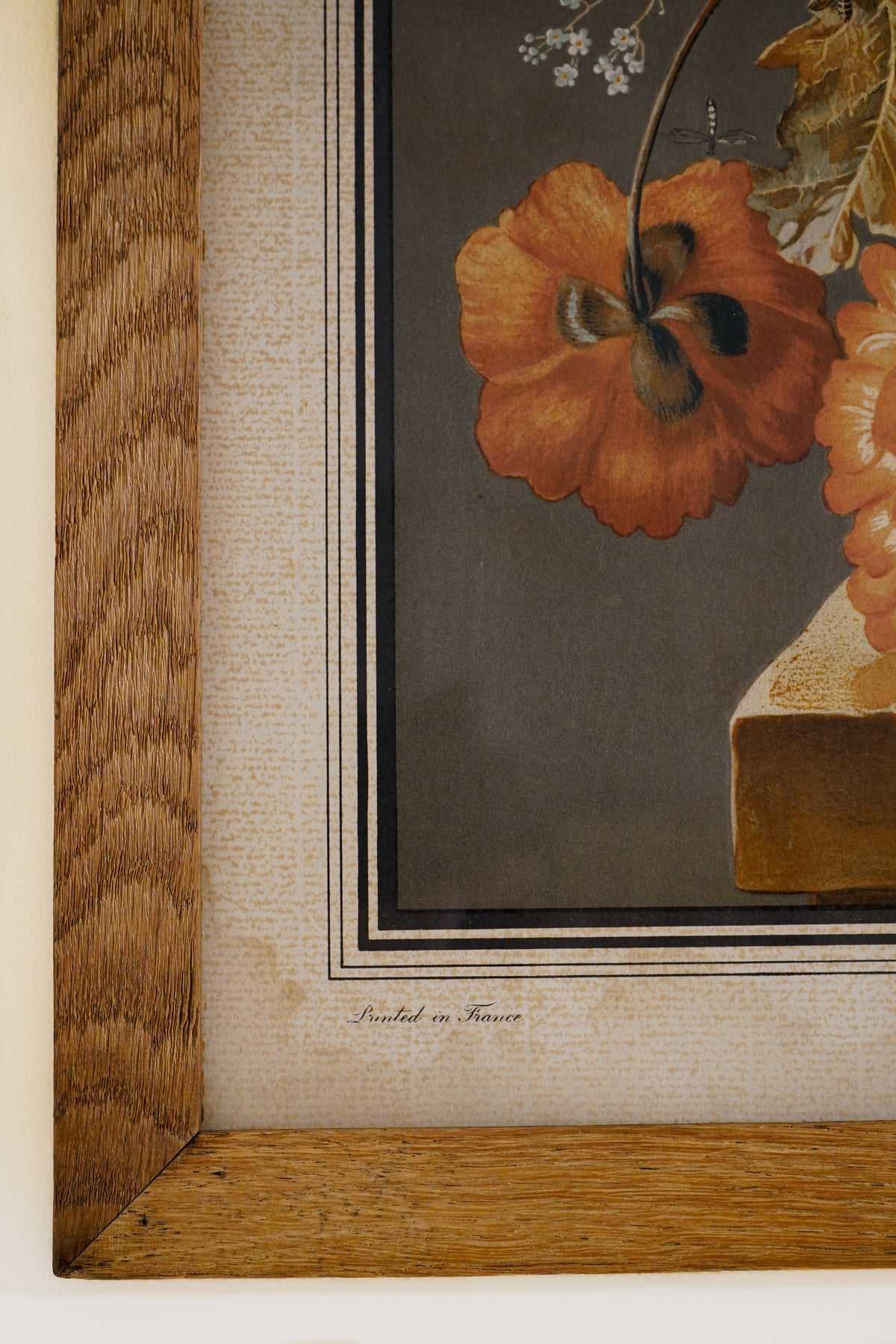 Floral Bouquet Lithographs — After Joseph Nigg — Pair