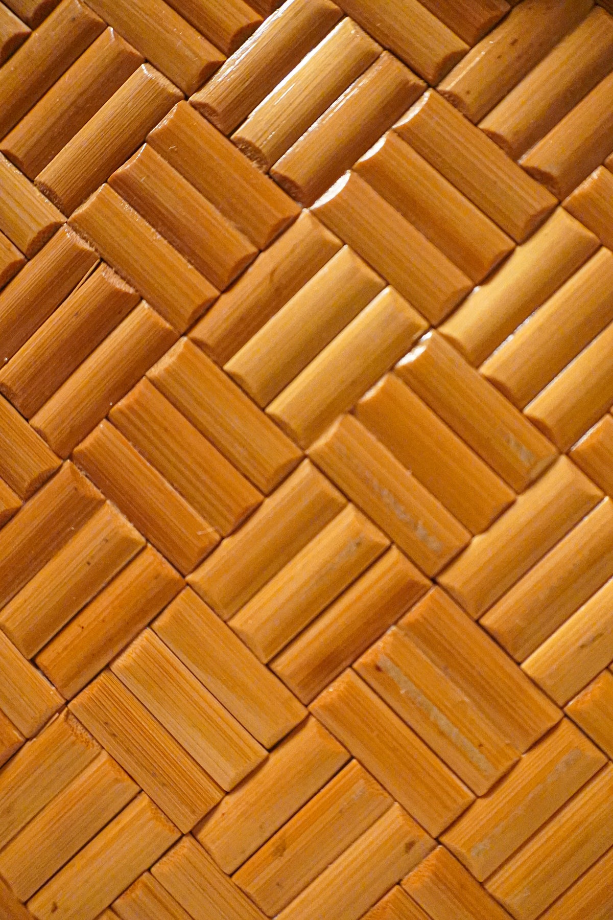 Italian Leather and Rattan Briefcase