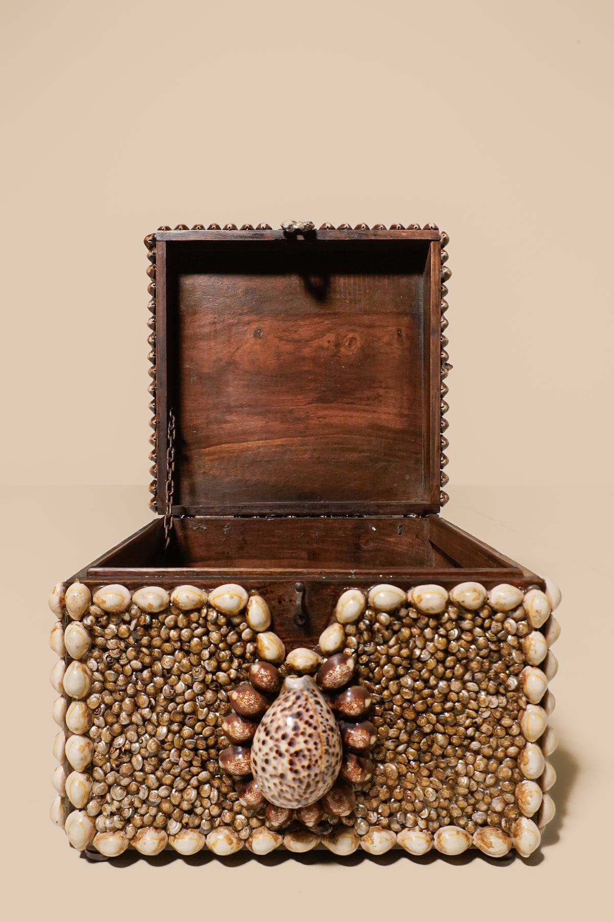 Vintage Large Seashell Encrusted Box — USA 1940