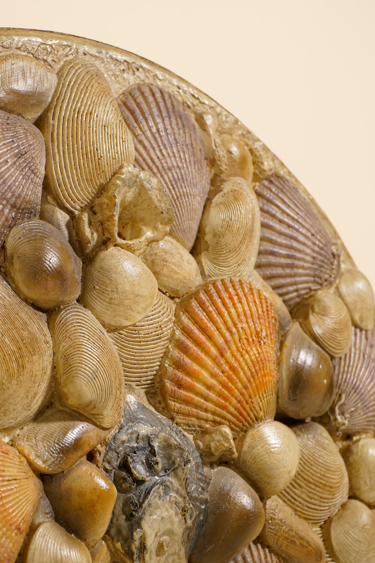 Coquillage Mirror — France, 20th Century