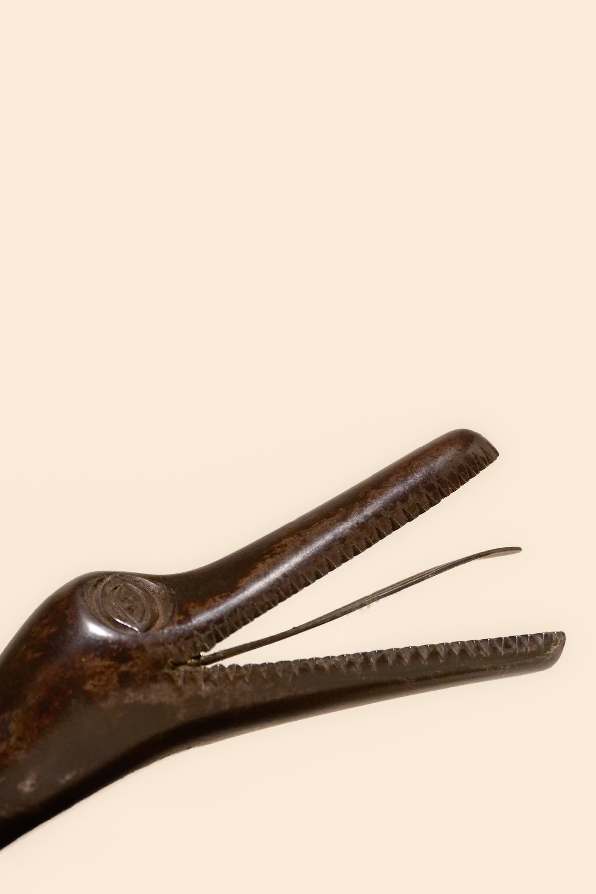 Cast Bronze Alligator
