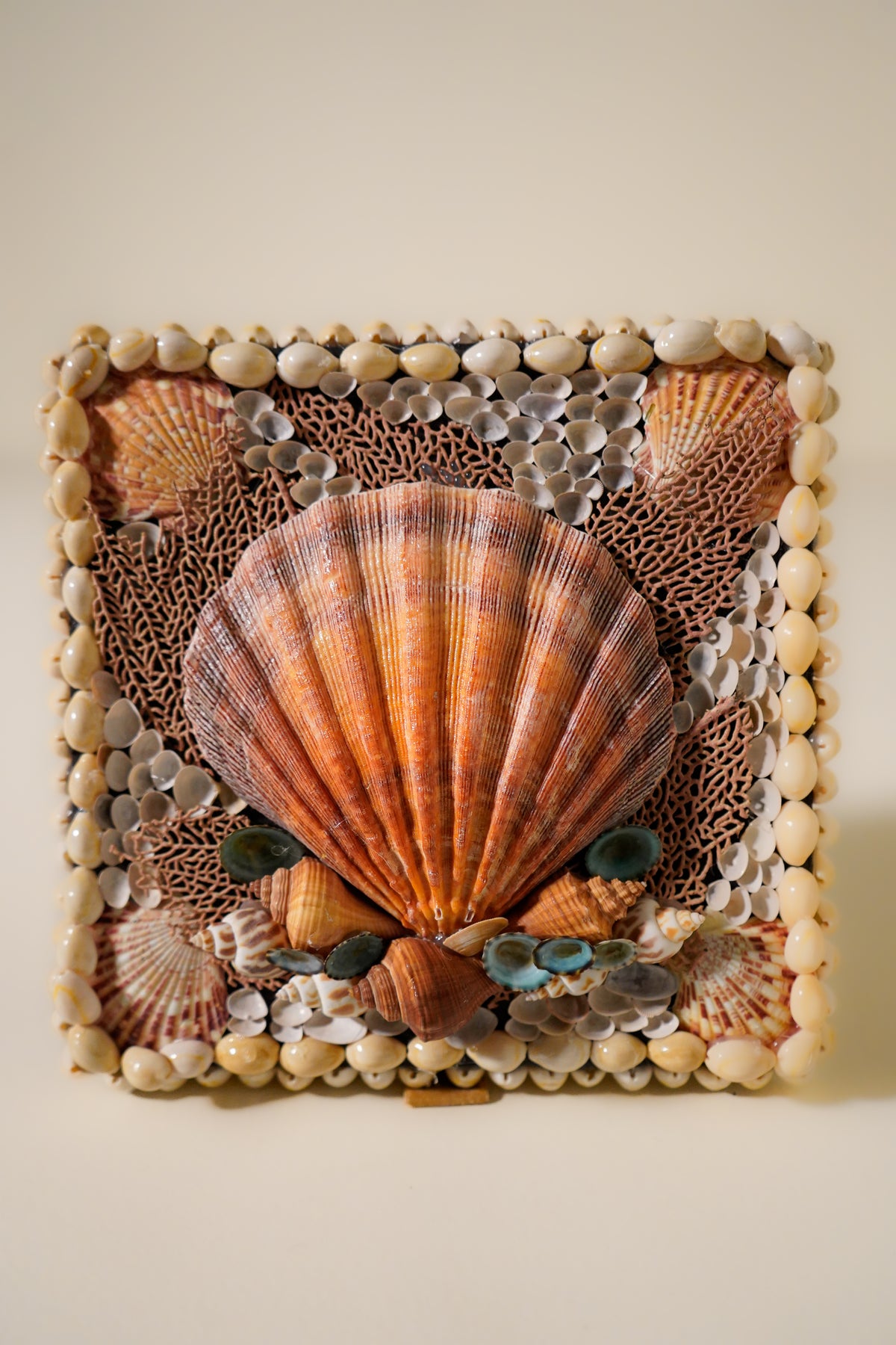 Shell Box in Coral