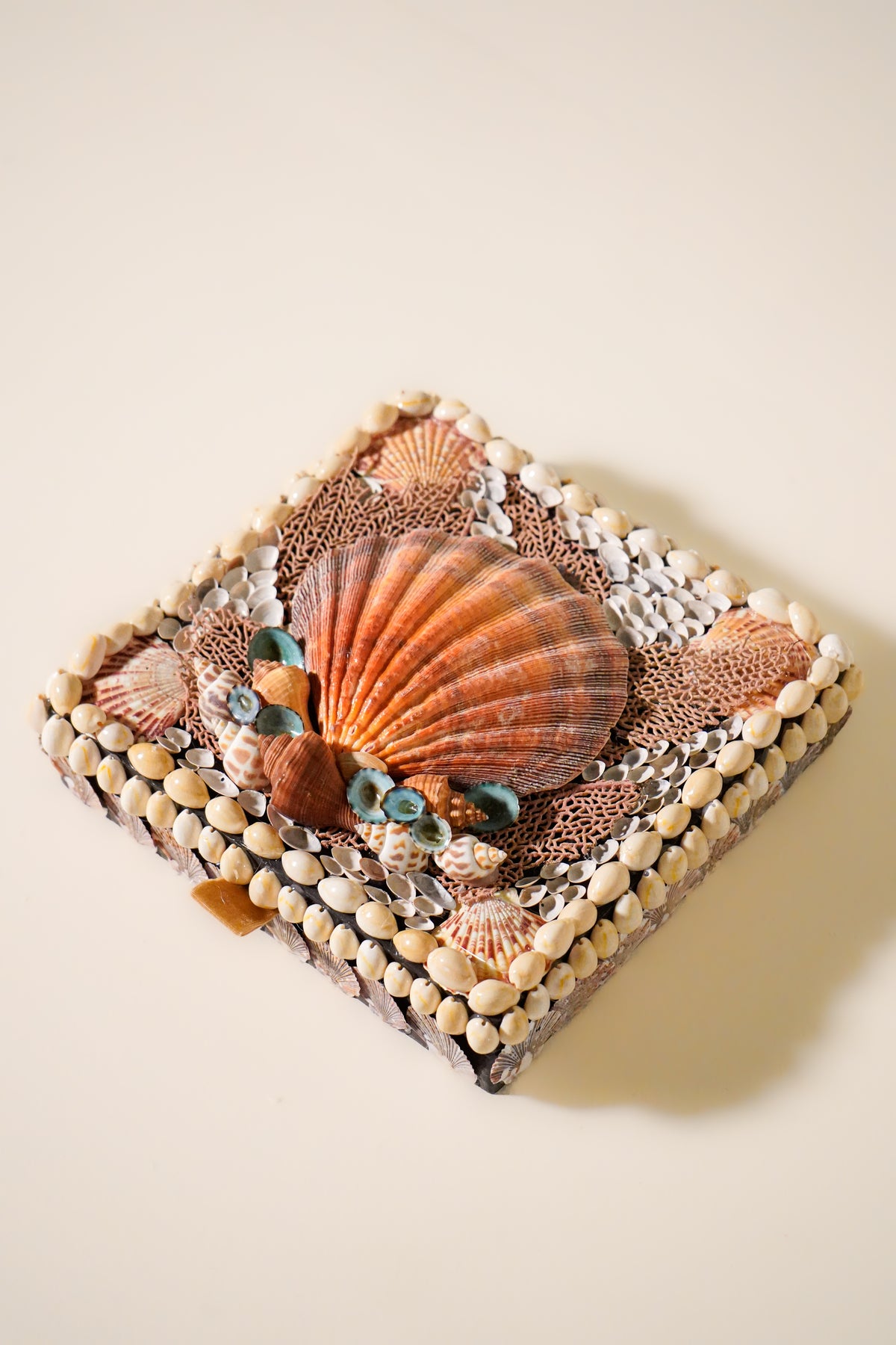 Shell Box in Coral