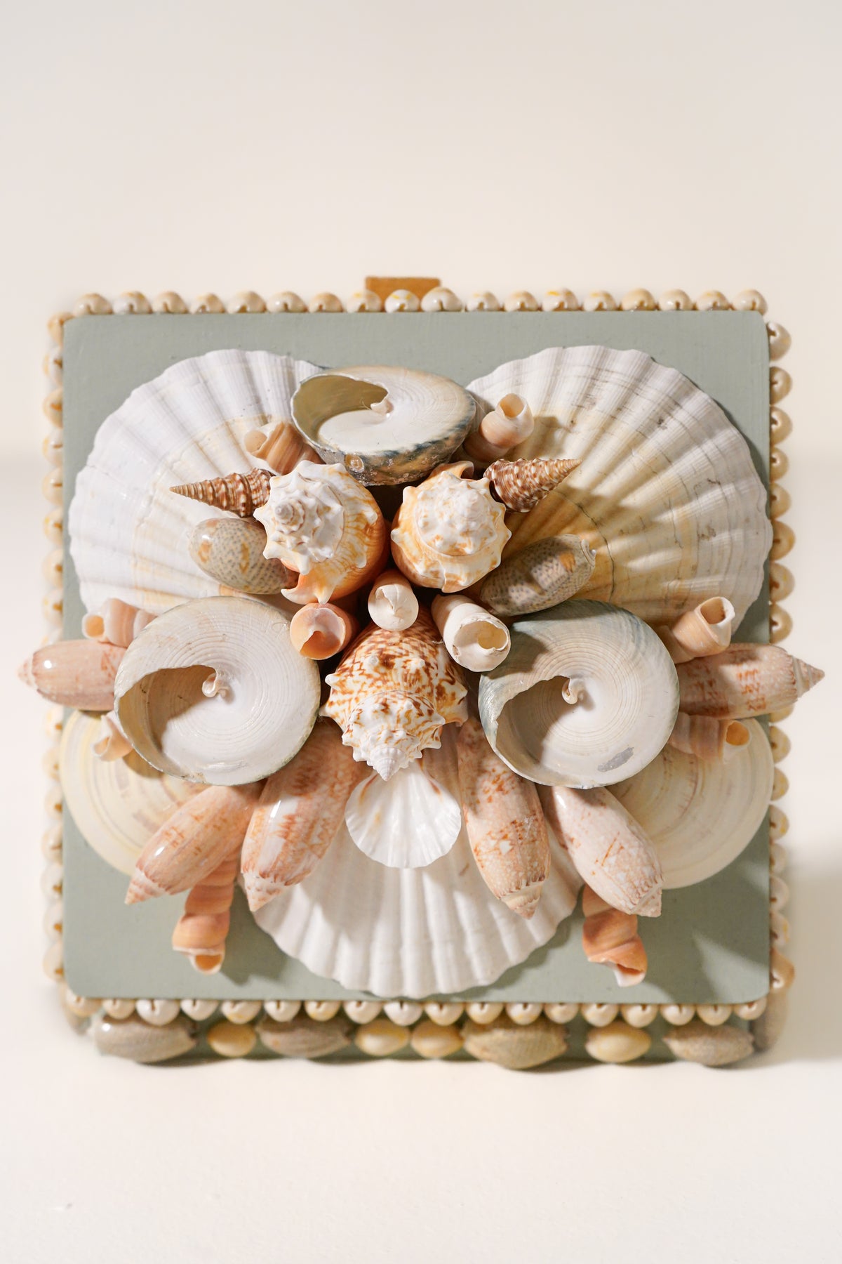 Shell Box in Seafoam