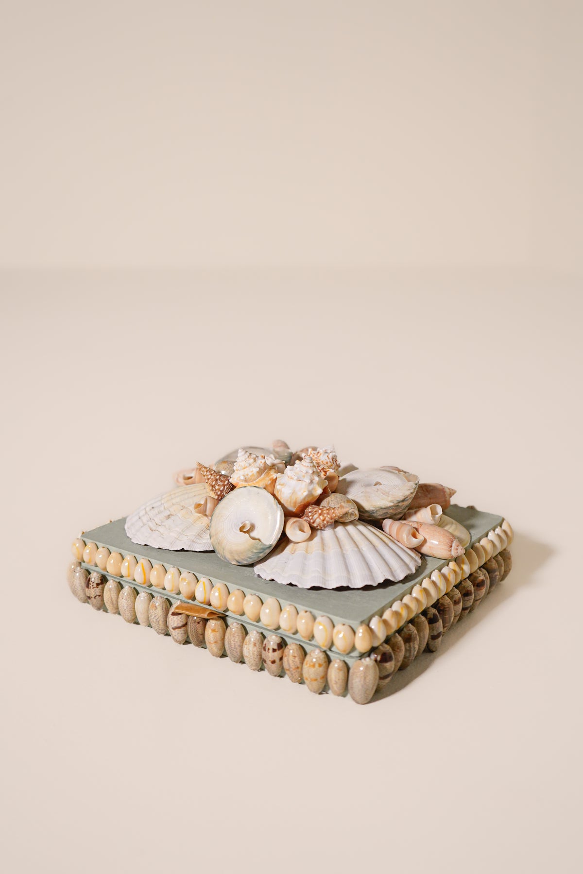 Shell Box in Seafoam