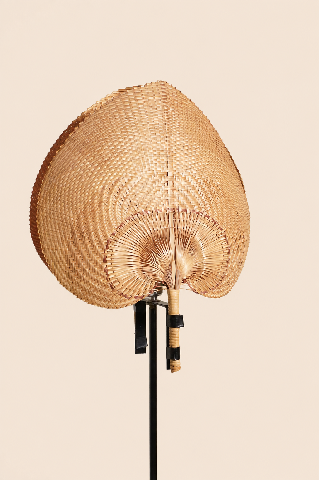 Woven Palm Fan Floor Lamp