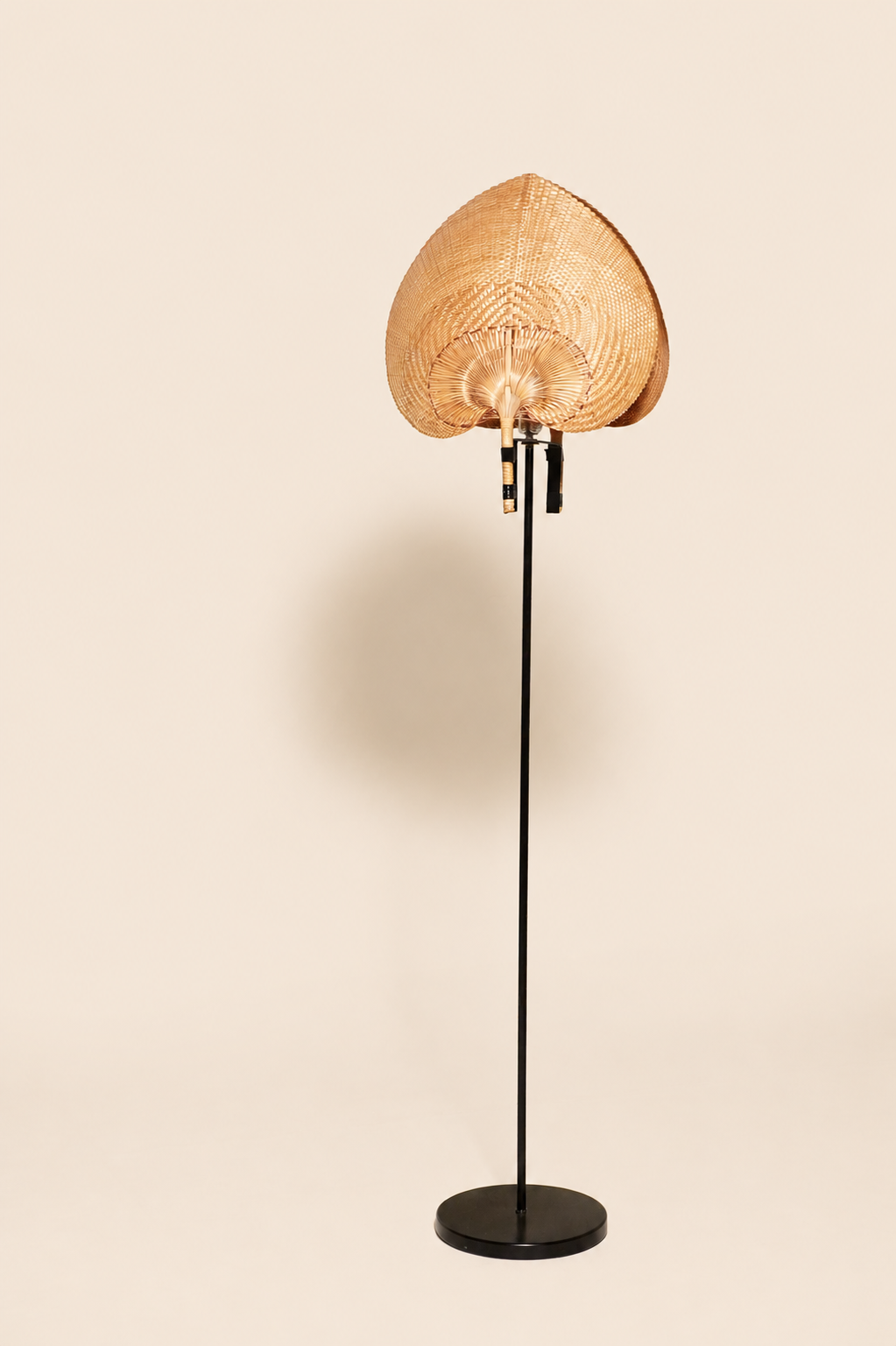 Woven Palm Fan Floor Lamp